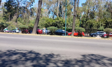 Carambola en la Xalapa-Veracruz provoca tráfico a la altura de Plaza Ánimas