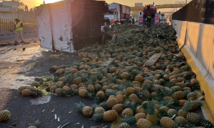 Vuelca tráiler con toneladas de piña en la México-Puebla
