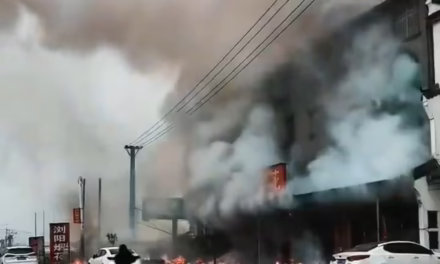 Video: Explosión en tienda de fuegos artificiales deja 12 muertos en China 