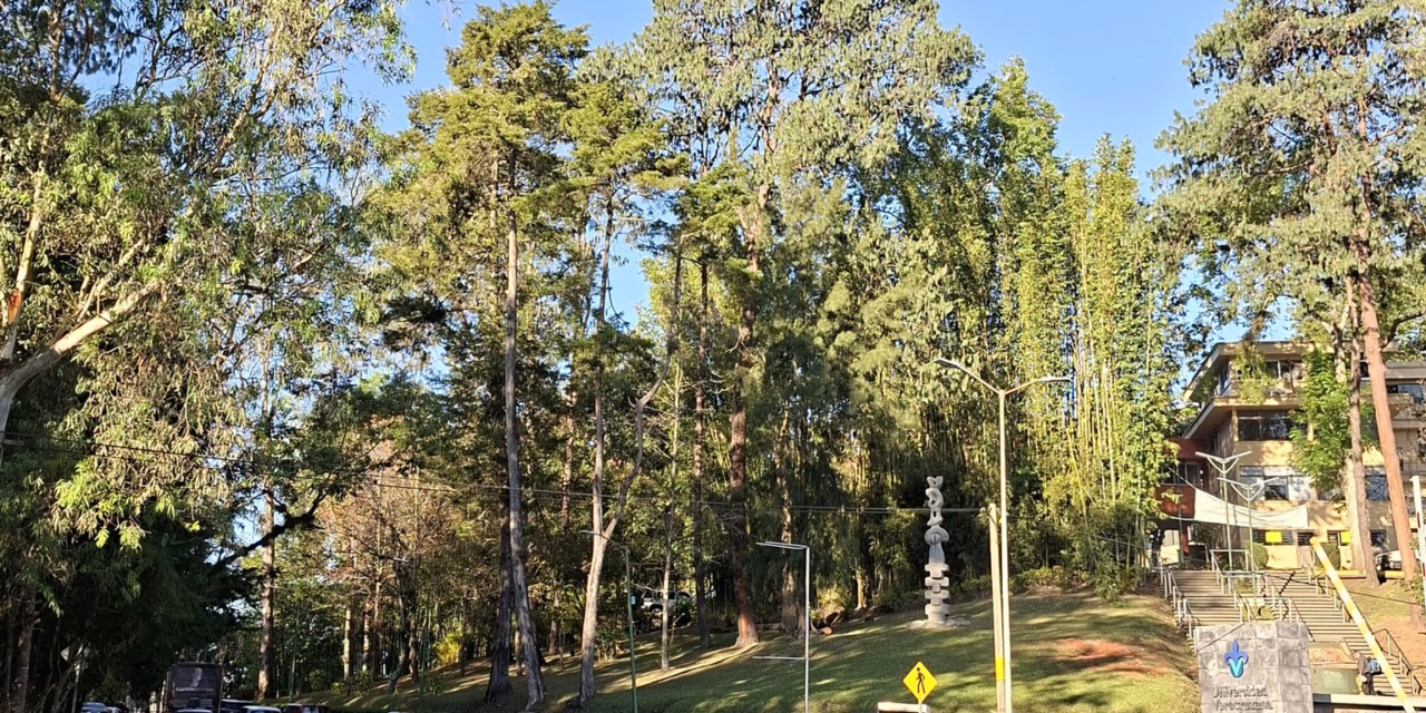 Bajo potencial para lluvias, días soleados y muy calurosos al mediodía y primeras horas de la tarde; sin embargo, por la noche y madrugada el ambiente será fresco a frío.