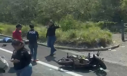 Tragedia en la Cardel-Veracruz: Motociclista pierde la vida tras choque con unidad de carga