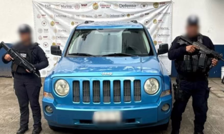 Decomisa SSP más de 300 dosis de estupefacientes y aprehende a 46 personas