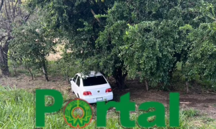 Accidente en la carretera Cardel – Poza Rica Volkswagen termina entre la maleza a la altura de “El Viejón”