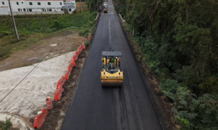 Modernización de vías estatales mejora conectividad y dinamiza economía regional: Rocío Nahle