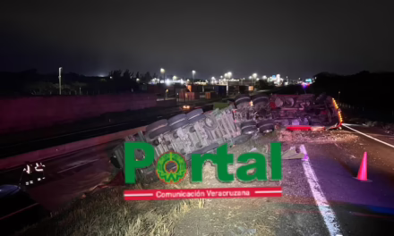 Vuelca tractocamión en el Libramiento de Veracruz; vialidad afectada hacia San Julián