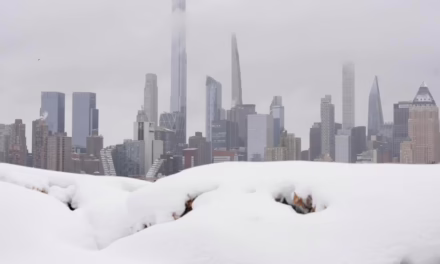 Video:Histórico: Nueva York bajo una de sus peores tormentas 
