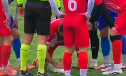 Video:Futbolistas paran un partido en Turquía para reanimar a una gaviota que recibió un pelotazo