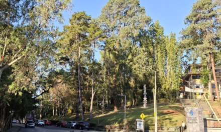 Este día continuará dominando un ambiente relativamente caluroso a caluroso y la probabilidad de lluvias será baja
