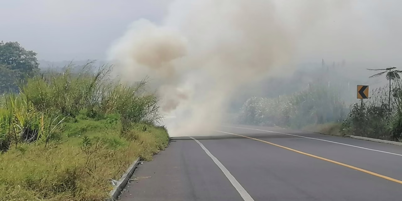 Se registra incendio de pastizal en el libramiento de Coatepec