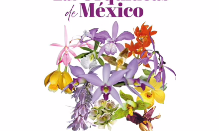 Coatepec celebra su riqueza natural con el XVII Festival Internacional de la Orquídea