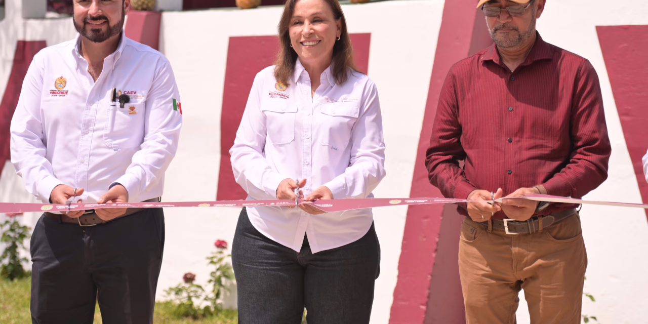 Trabajamos para llevar agua de calidad a las familias veracruzanas: Rocío Nahle