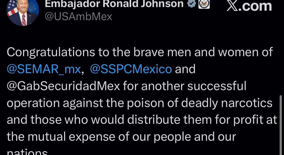 Embajador de EU en México, Ronald Johnson, felicitó a las fuerzas de seguridad mexicanas por un operativo contra “redes que distribuyen narcóticos mortales”.