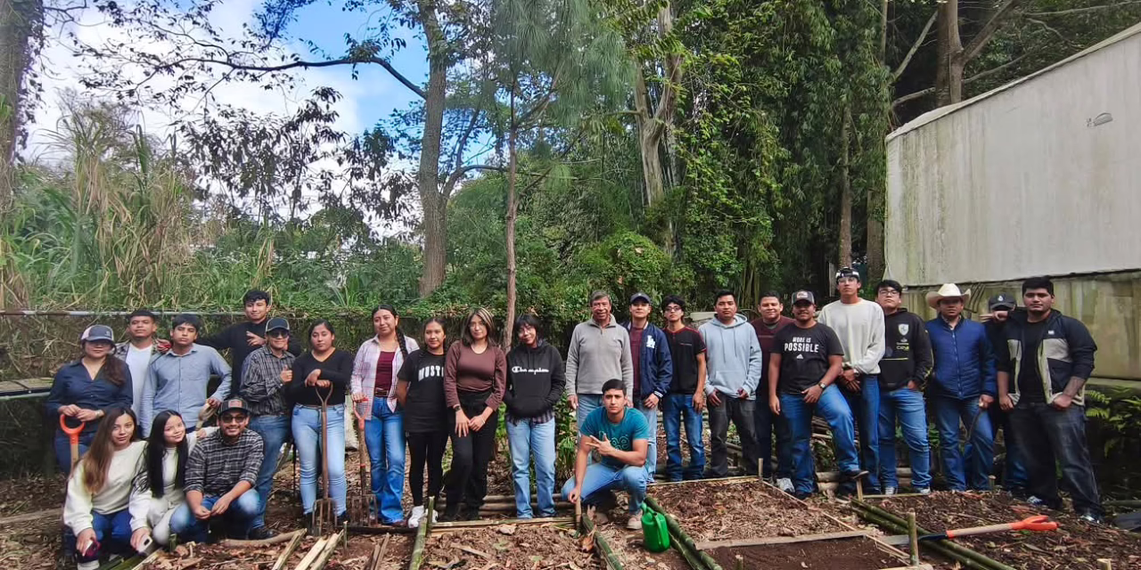 Estudiantes UV impulsan huerto sustentable en el Campus CAD