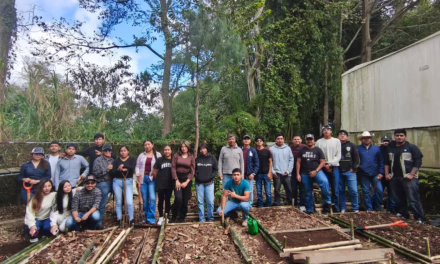 Estudiantes UV impulsan huerto sustentable en el Campus CAD