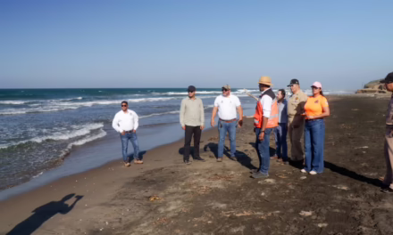 Coordinación interinstitucional para la supervisión de playas en Alvarado