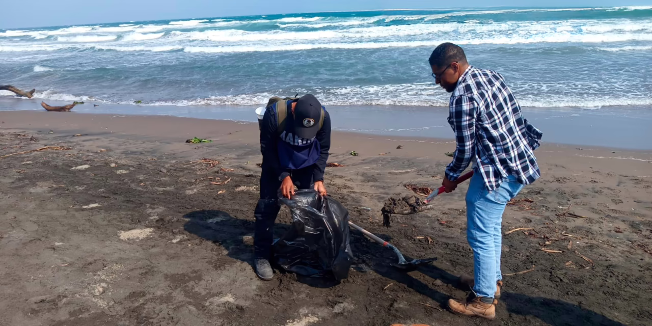 Garantiza PMA limpieza de playas tras arribo de residuos de hidrocarburo