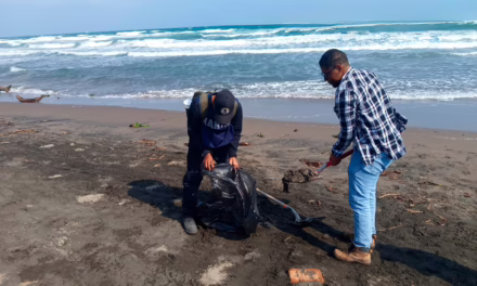 Garantiza PMA limpieza de playas tras arribo de residuos de hidrocarburo
