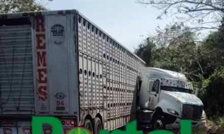 Accidente en la carretera 180 Cardel – Poza Rica 180: Choque de tráileres en el Cerro de los Metates genera caos vial