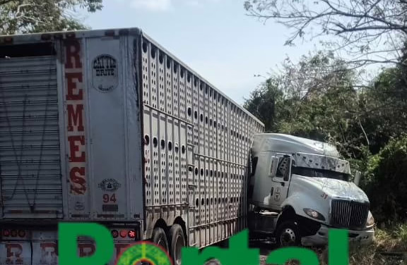 Accidente en la carretera 180 Cardel – Poza Rica 180: Choque de tráileres en el Cerro de los Metates genera caos vial