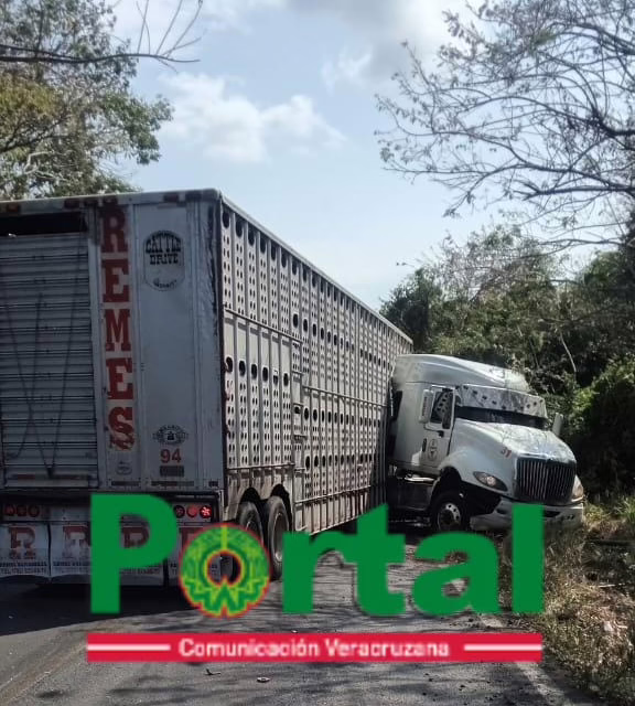 Accidente en la carretera 180 Cardel – Poza Rica 180: Choque de tráileres en el Cerro de los Metates genera caos vial