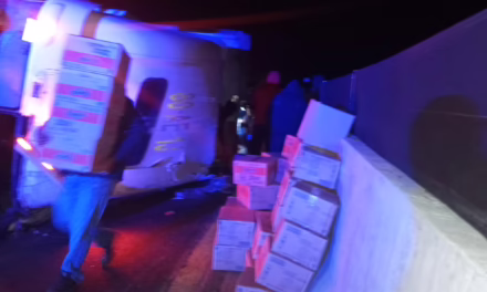 Vuelca tráiler en la Xalapa-Perote; se registra rapiña en El Fresno