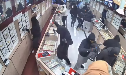 video del robo en Fremont, California, donde ladrones se llevaron joyas por valor de 1,7 millones de dólares