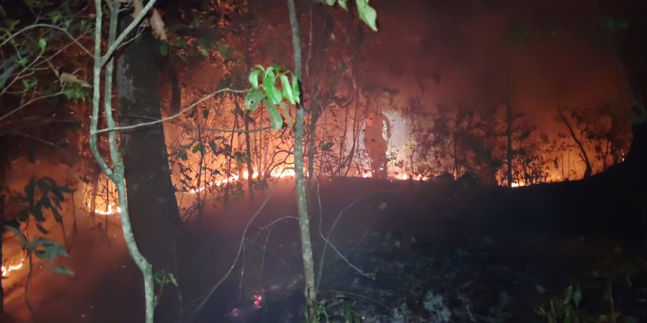 Se registra incendio en zona del Río Sedeño; afecta áreas verdes entre Xalapa y Banderilla