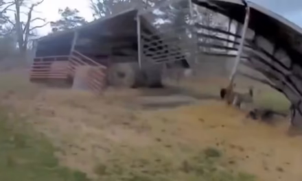 Video: Fuerza del viento destruye granero en Missouri