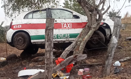 Accidente en la carretera a El Limón: Taxi de Paso de Ovejas termina fuera del camino