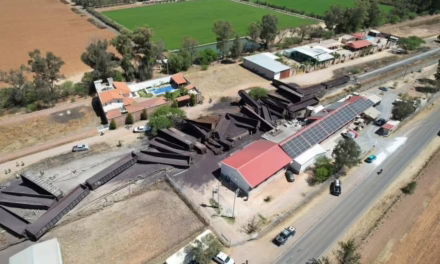 VIDEO: Descarrilamiento de tren en Aguascalientes deja un muerto y varios heridos