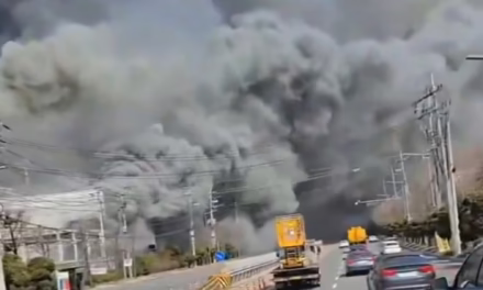 VIDEO:GRAVE INCENDIO EN COREA DEL SUR