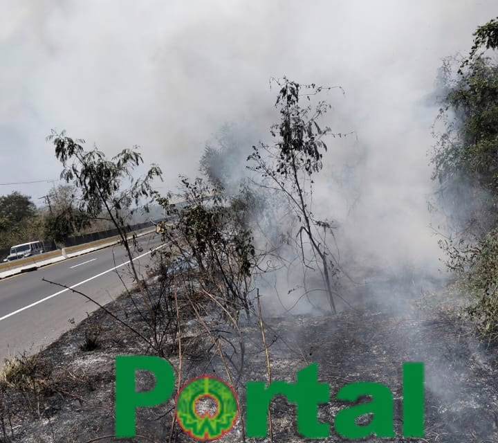 Incendio de pastizal en la carretera Xalapa-Veracruz; fue provocado por persona en situación de calle