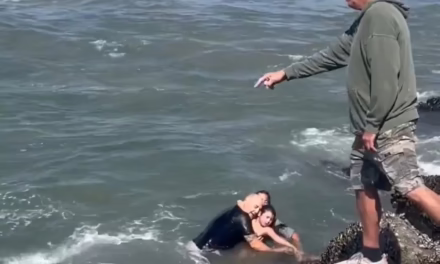 Video: Instructor de surf salvó a un padre y a su hija de una corriente en el sur de California