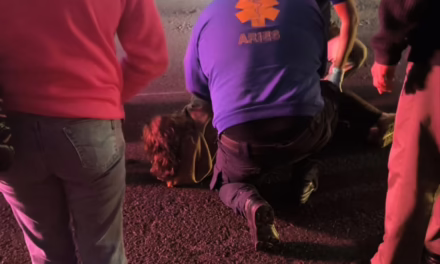 Motociclista atropella a mujer y se da a la fuga en calles de Xalapa
