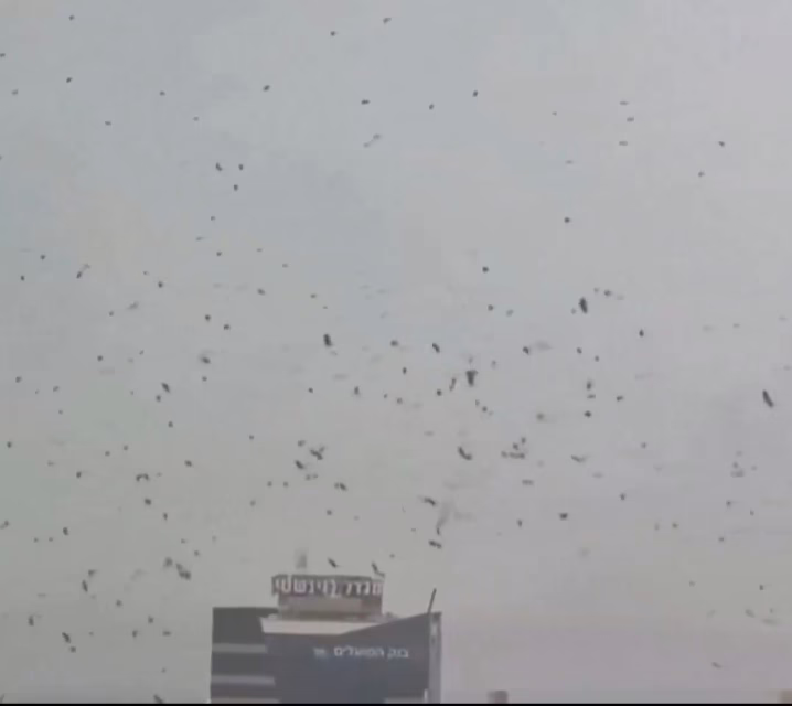 Video: Impresionante Parvada de cuervos sobre Tel Aviv