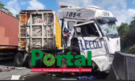 Tráiler impacta muro de contención en la autopista Xalapa-Perote; se reportan solo daños materiales