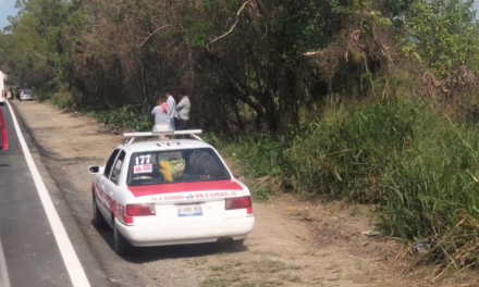 ​Denuncian imprudencia de taxistas en la carretera Tlapacoyan-Martínez; rebasan por el acotamiento