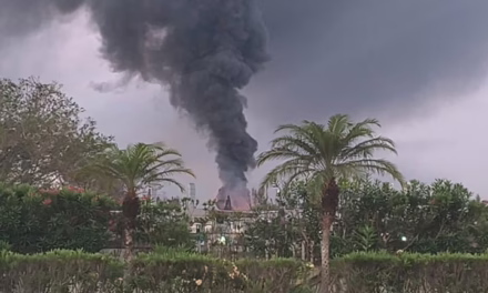 Sofocan incendio en la colonia Campestre; PC llama a evitar quema de neumáticos