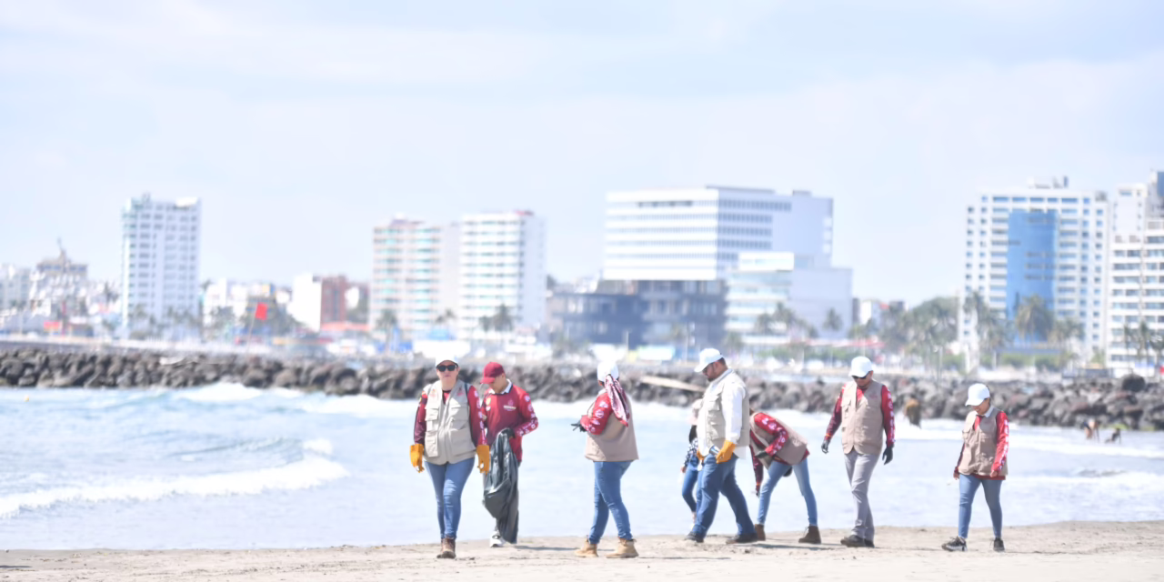 Limpian playa Mocambo, Sedema encabeza brigada