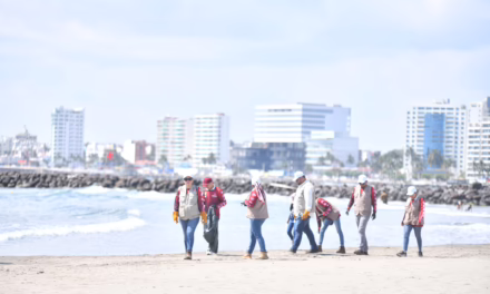 Limpian playa Mocambo, Sedema encabeza brigada