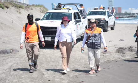 Playa Santa Ana se mantiene limpia tras labores coordinadas: PC