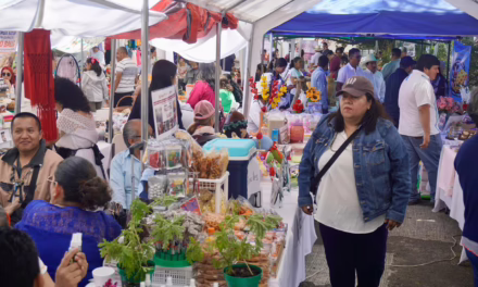 Secretaría de Trabajo reúne a 140 emprendedores en encuentro regional en Xalapa