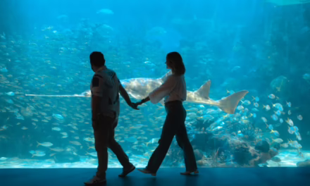 Invita Aquarium a disfrutar una experiencia única en Semana Santa