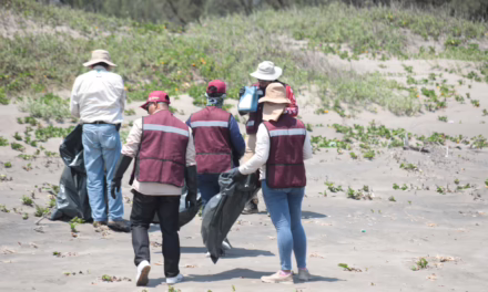 Refuerzan limpieza de Playa Chalchihuecan rumbo a Semana Santa