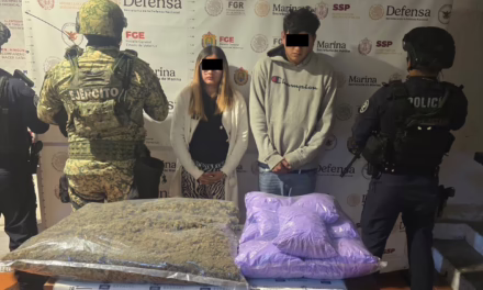 Asegura SSP 315 dosis y 14 kilos de estupefacientes en 36 municipios