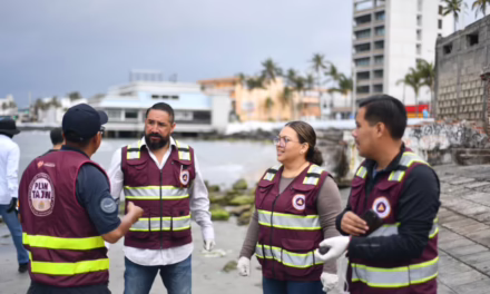 Con brigadas de limpieza en Villa del Mar, garantizada la llegada de visitantes: PMA