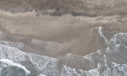 Reportan playas limpias y sin afectaciones en Antón Lizardo