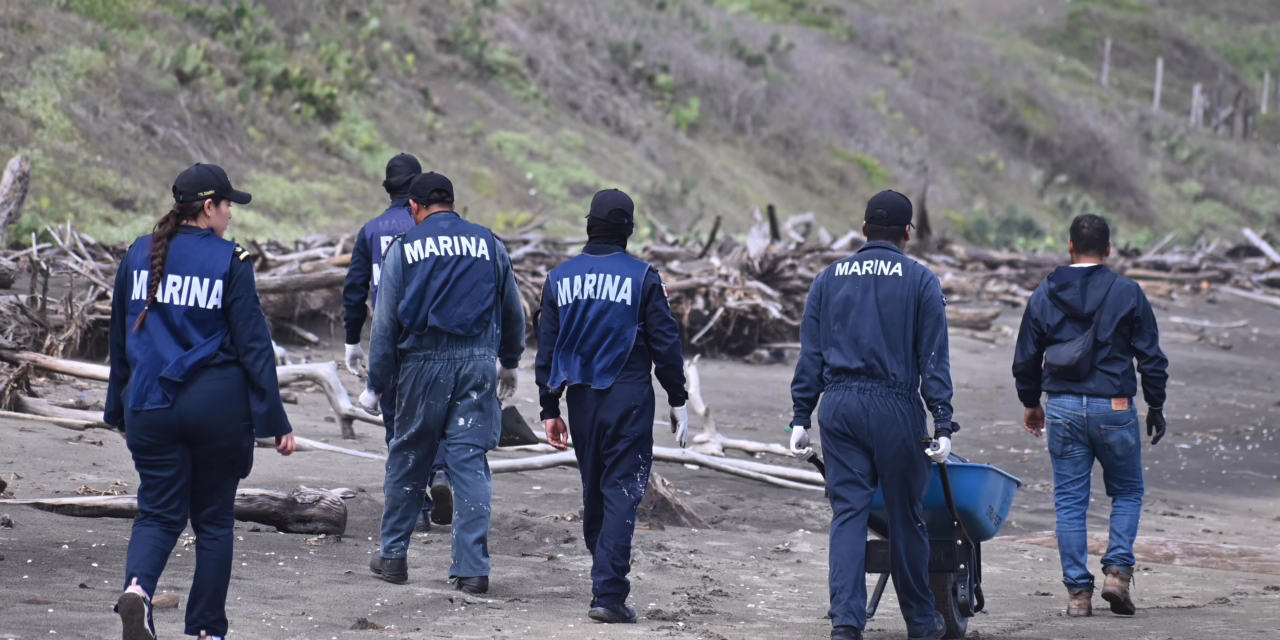 Alvarado recibe temporada vacacional con playas en condiciones óptimas