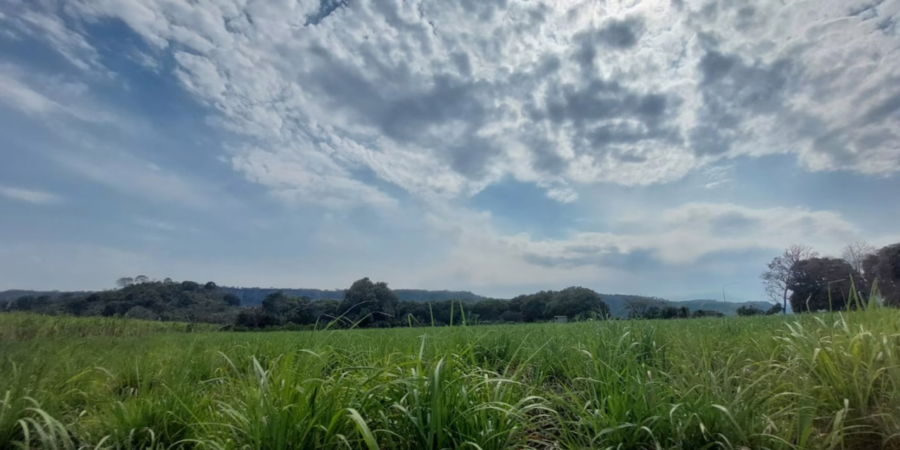 Probabilidad de nieblas, lloviznas y lluvias ligeras a ocasionalmente moderadas en el estado.
