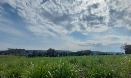 Probabilidad de nieblas, lloviznas y lluvias ligeras a ocasionalmente moderadas en el estado.